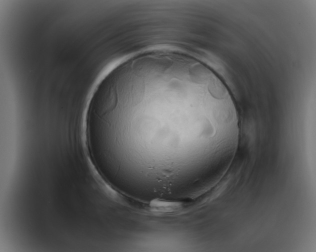 X0000088211199200705221737