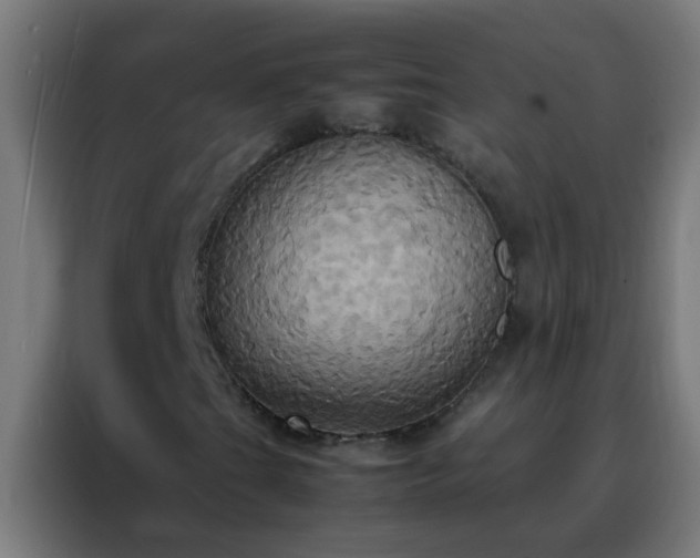 X0000088211201200705221736