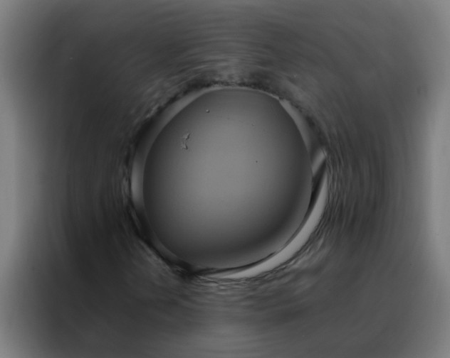 X0000088211202200705221736