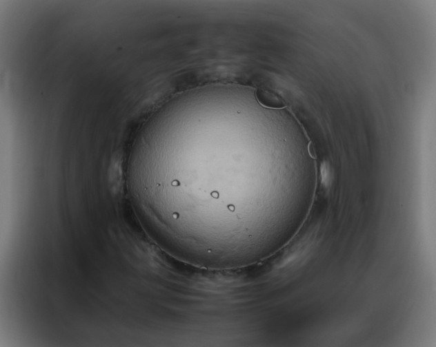 X0000088211203200705221736