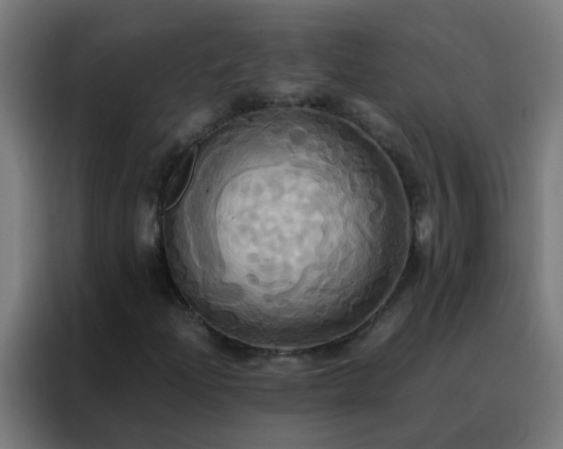 X0000088211204200705221736