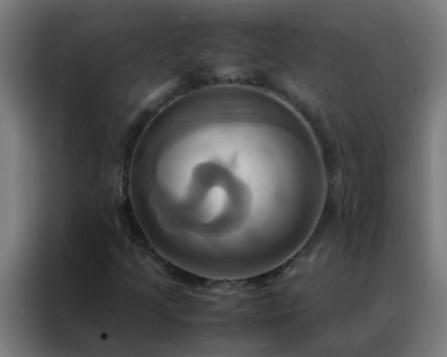 X0000088211205200705221736