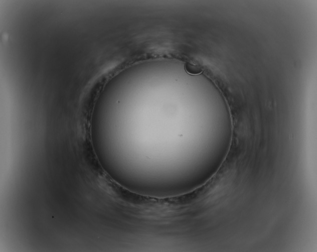 X0000088211207200705221736