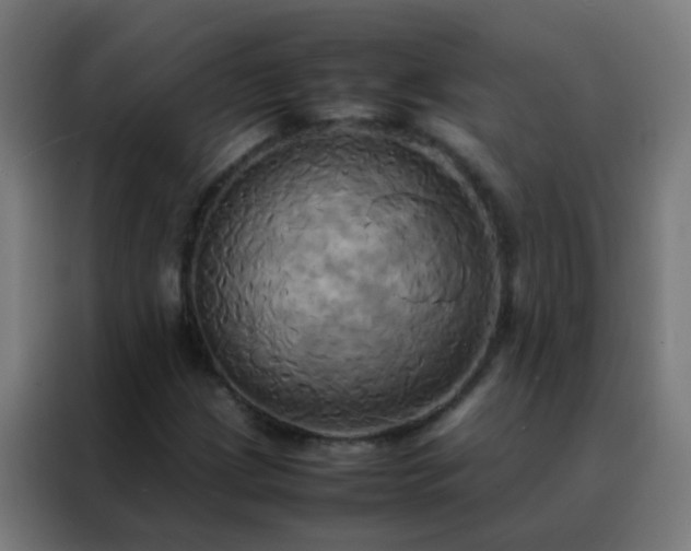 X0000088211209200705221736