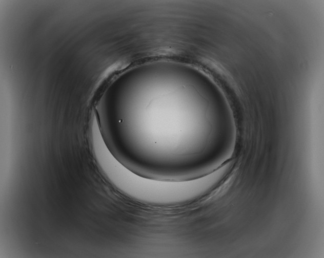 X0000088211210200705221736