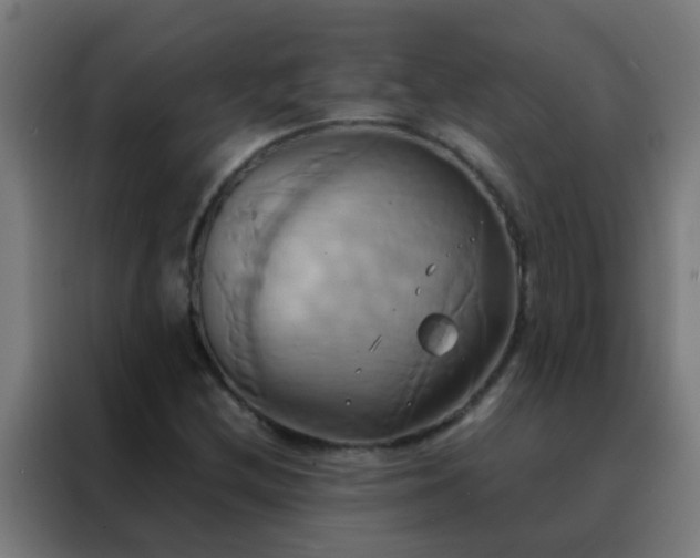 X0000088211212200705221736
