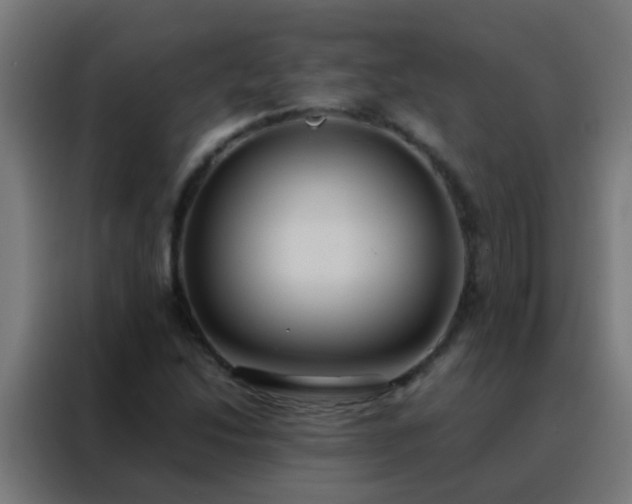 X0000088211214200705221736