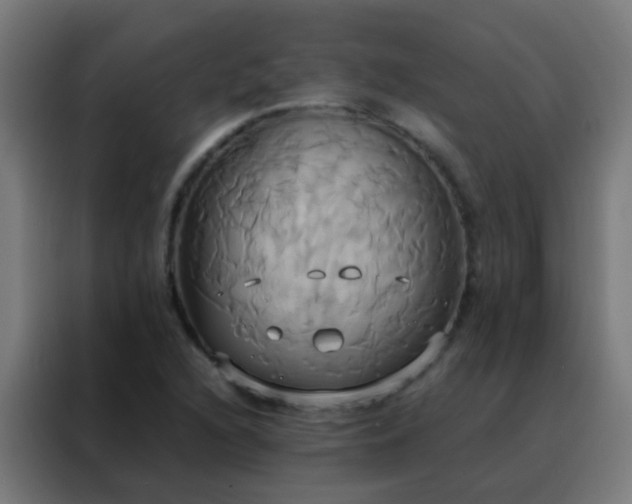 X0000088211216200705221736