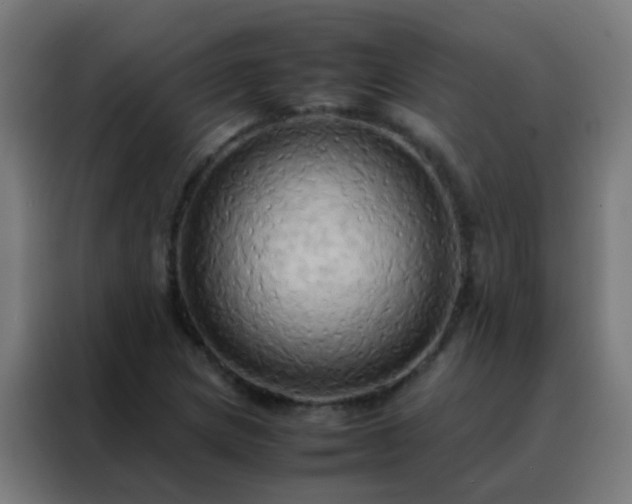 X0000088211217200705221736