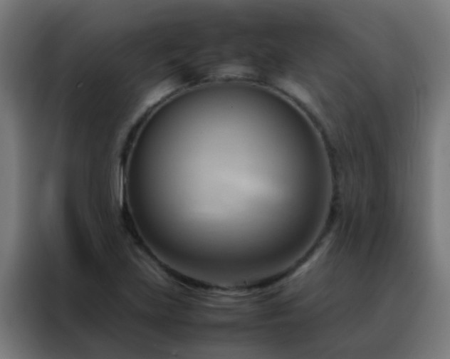 X0000088211219200705221736