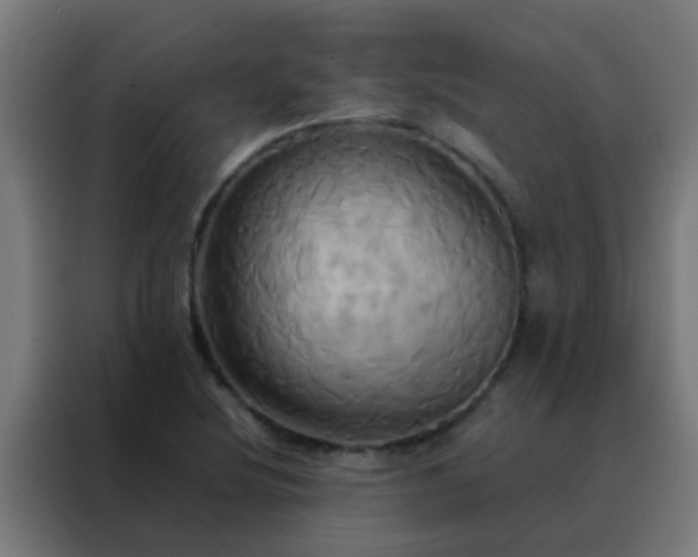 X0000088211220200705221736