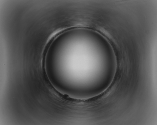 X0000088211222200705221736