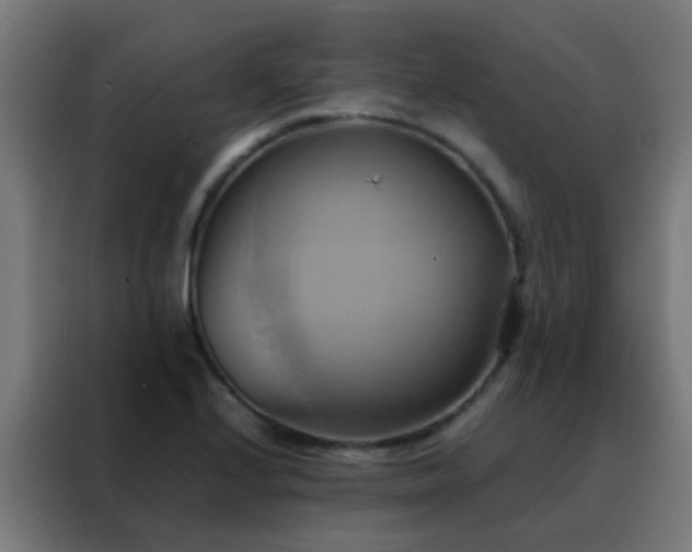 X0000088211224200705221736