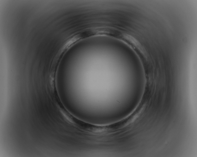 X0000088211225200705221736