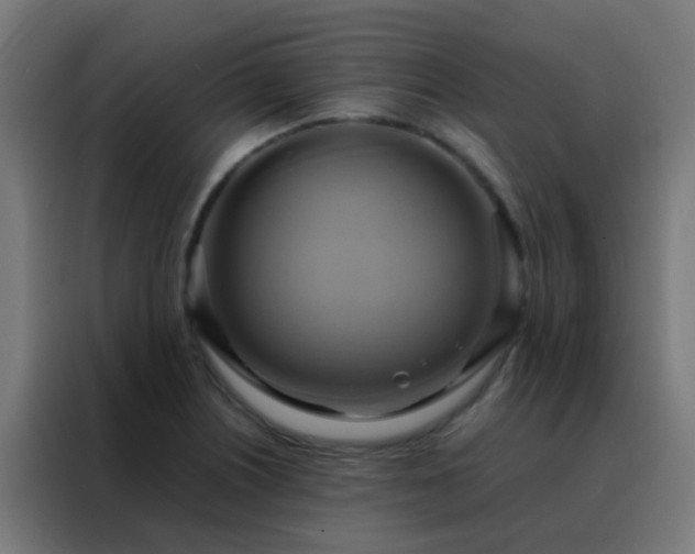 X0000088211226200705221736