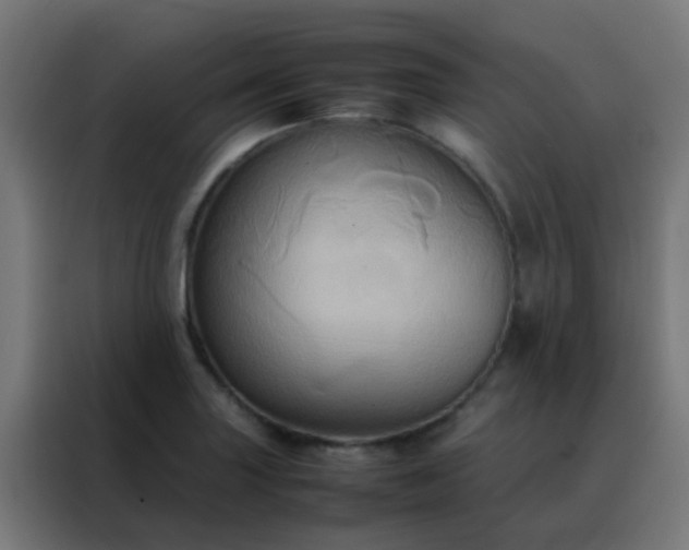 X0000088211227200705221736
