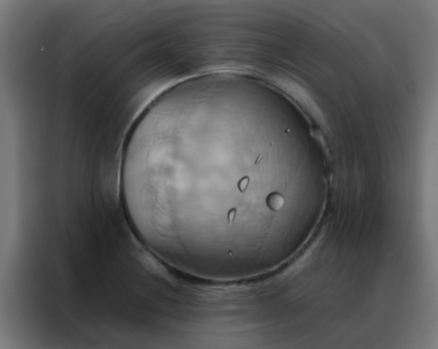 X0000088211228200705221737