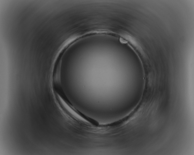X0000088211229200705221737