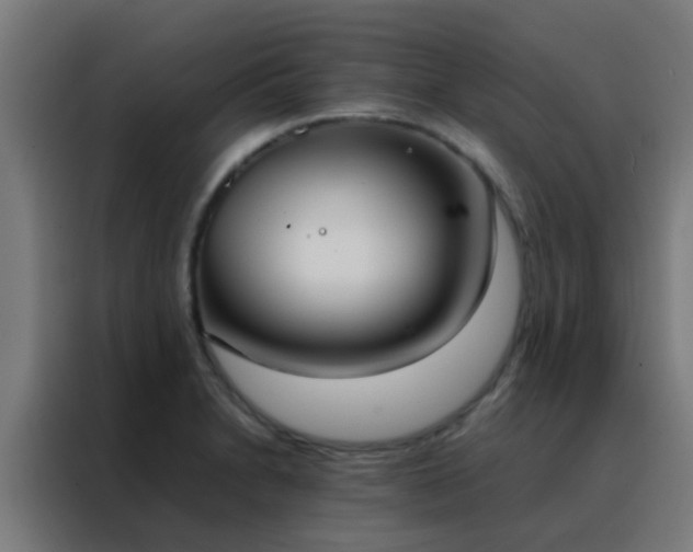 X0000088211230200705221737