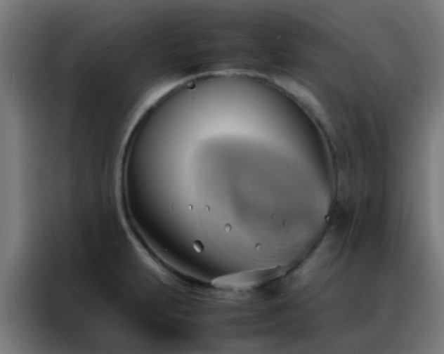 X0000088211231200705221737
