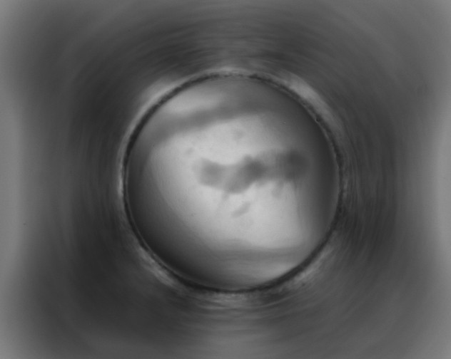 X0000088211232200705221737