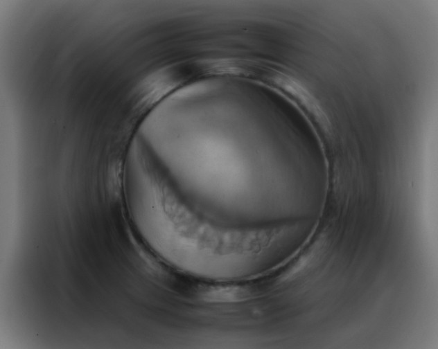 X0000088211233200705221737
