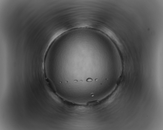 X0000088211234200705221737