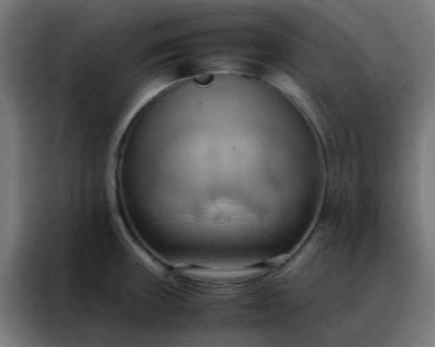 X0000088211235200705221737