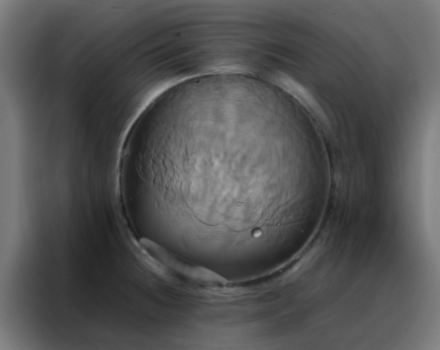 X0000088211236200705221737