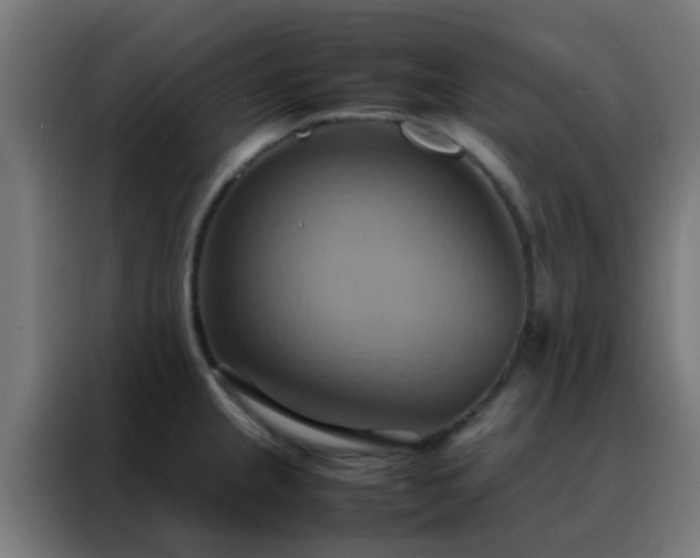 X0000088211237200705221737