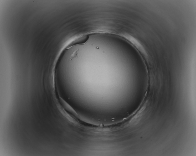 X0000088211238200705221737