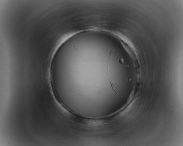 X0000088211239200705221737
