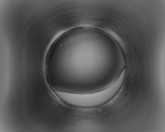 X0000088211240200705221737