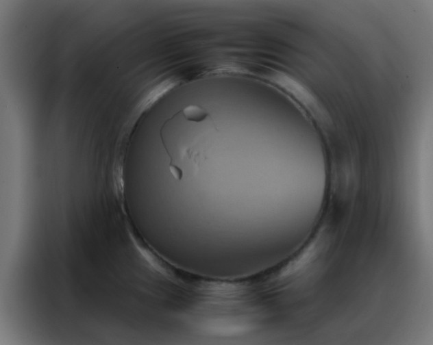 X0000088211241200705221737