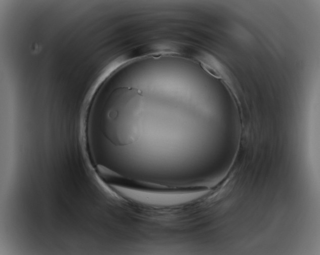 X0000088211243200705221737