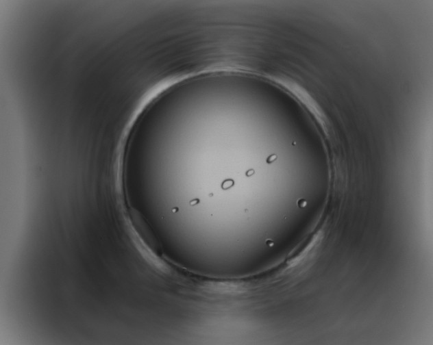 X0000088211246200705221737