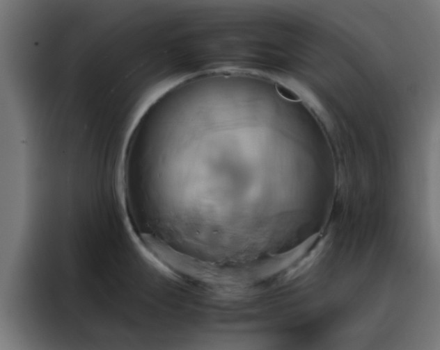 X0000088211247200705221737