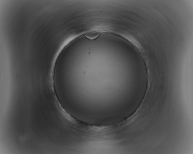 X0000088211248200705221737