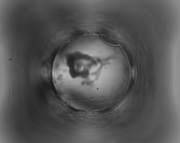 X0000088211251200705221736
