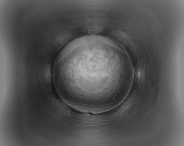 X0000088211252200705221736
