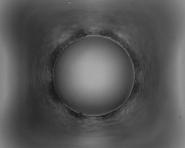 X0000088211253200705221736