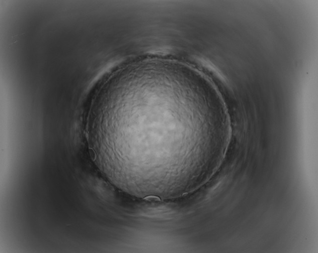X0000088211256200705221736