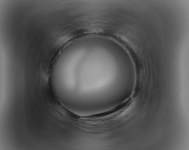 X0000088211257200705221736