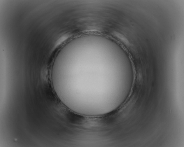 X0000088211258200705221736