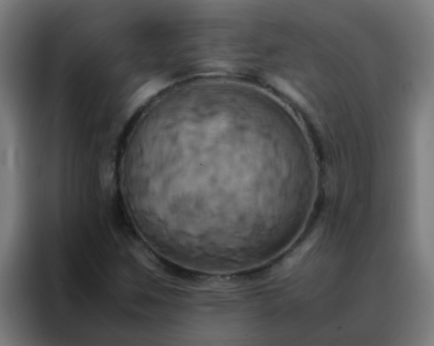 X0000088211259200705221736