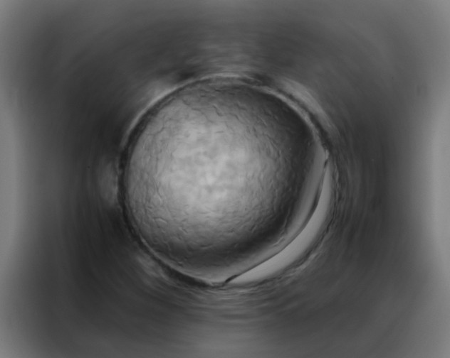 X0000088211260200705221736