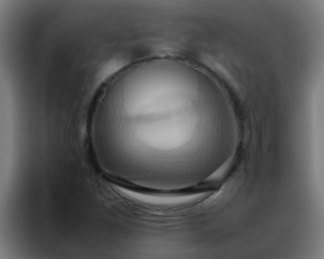 X0000088211261200705221736