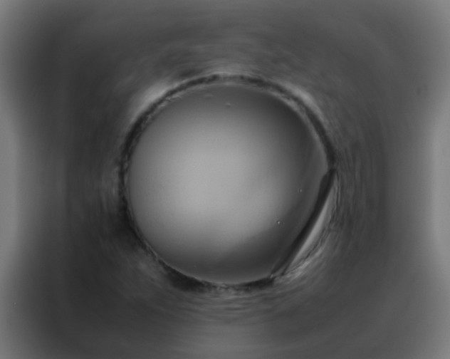 X0000088211263200705221736