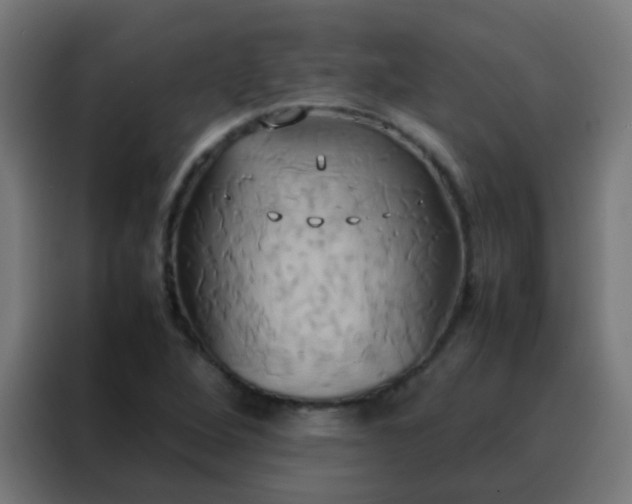 X0000088211264200705221736