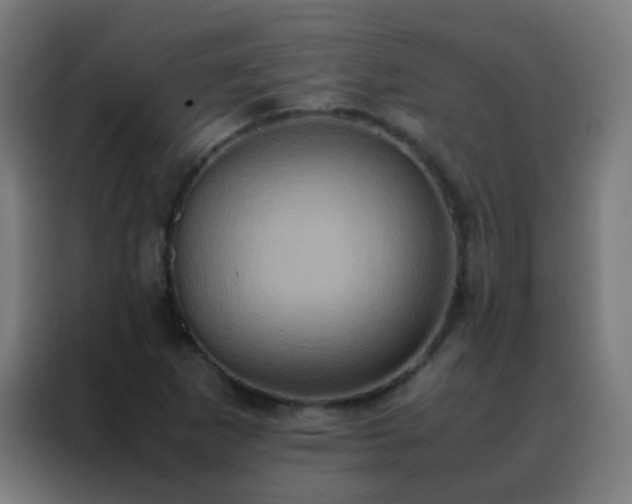 X0000088211265200705221736